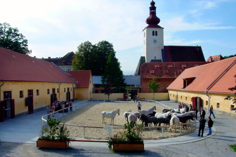 Kolla klippet: Kraftfull morgonrusning