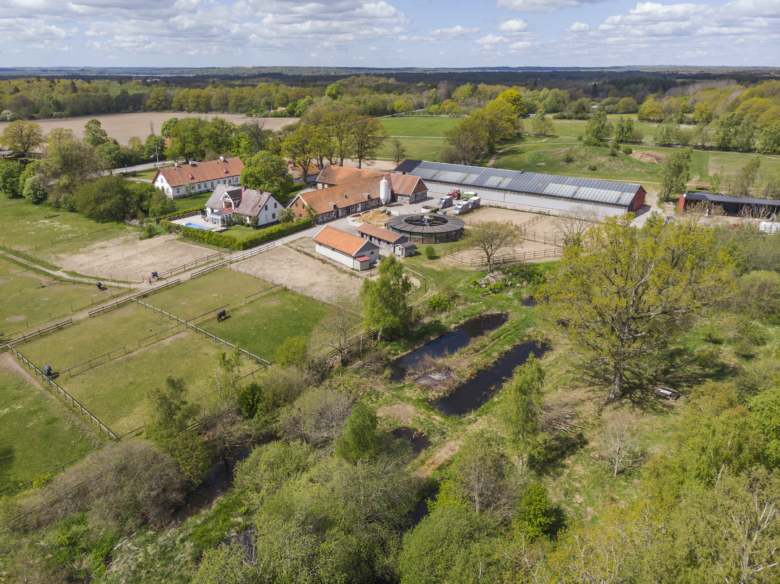 Flera stora hästgårdar till salu