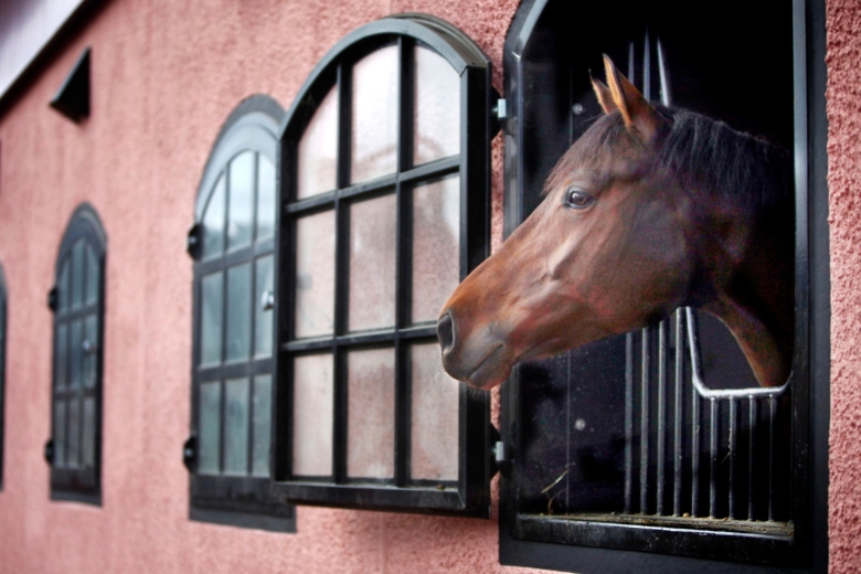 Ny lag kräver registrering av stall