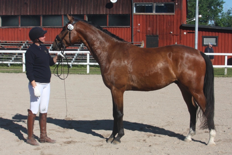 Lovande lillebror levererade