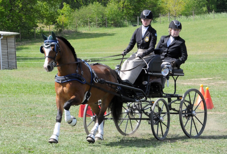 Härlig comeback för Sanna och Tristan