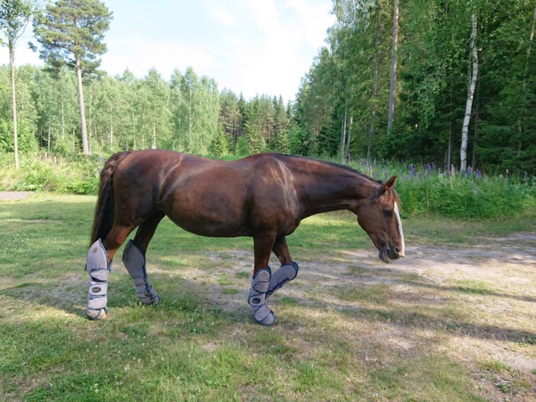 Ericas hjälte upphittad: ”Härligt med människor som agerar”