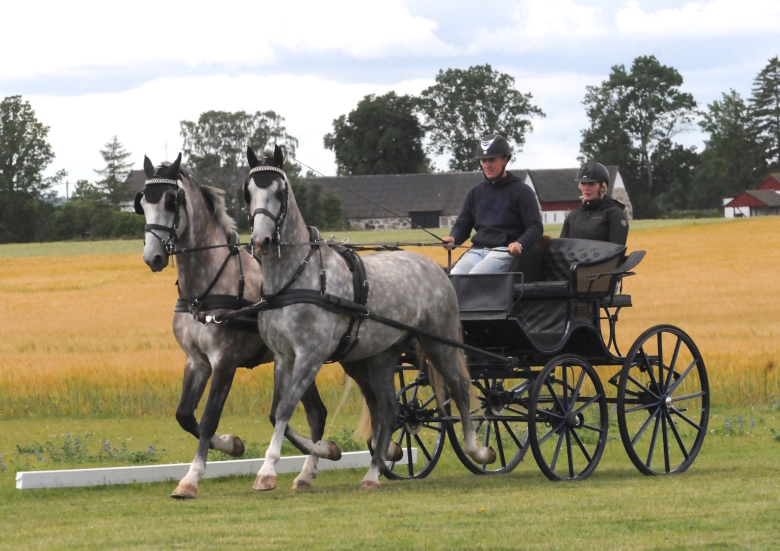 Axel Olin blir parkusk: ”Vi skyndar långsamt”