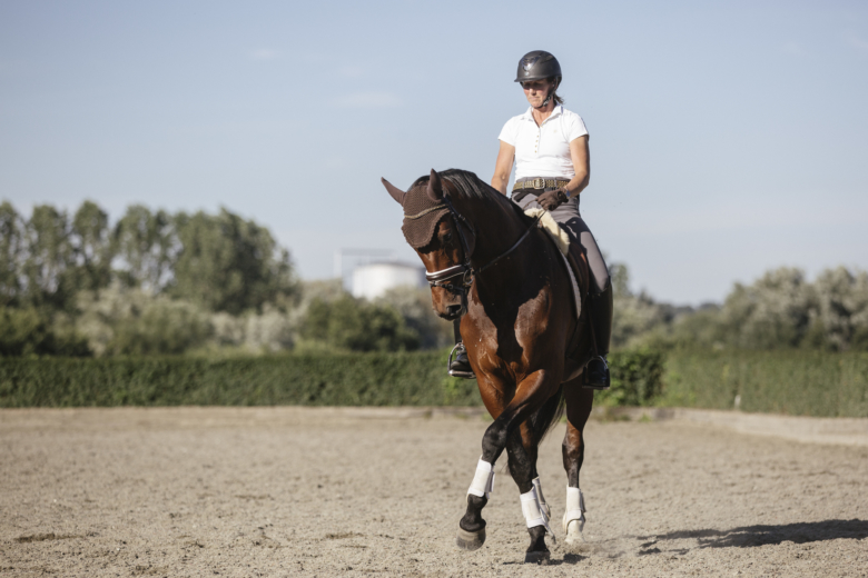 Piruetter – från skritt till galopp