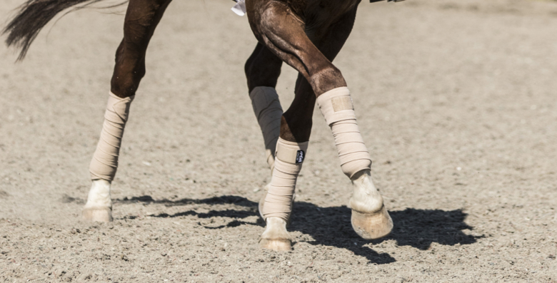 Lösgörande övningar för både kropp och själ