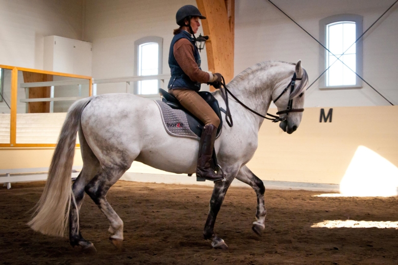 Svensk dressyrtränare död i samband med ridning