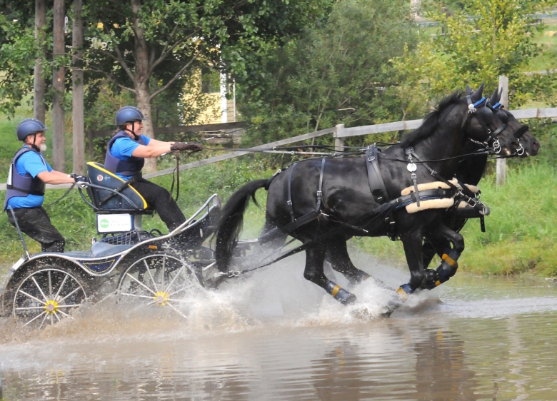 Het utmaning för kuskarna i Åstorp
