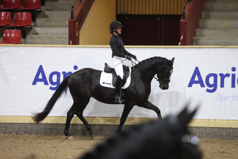 Därför är det fler hästar än vad reglerna säger i 4-årsfinalen