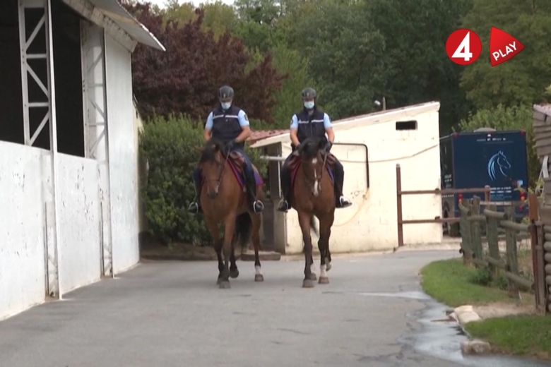 Man gripen i Frankrike – misstänks för stympning