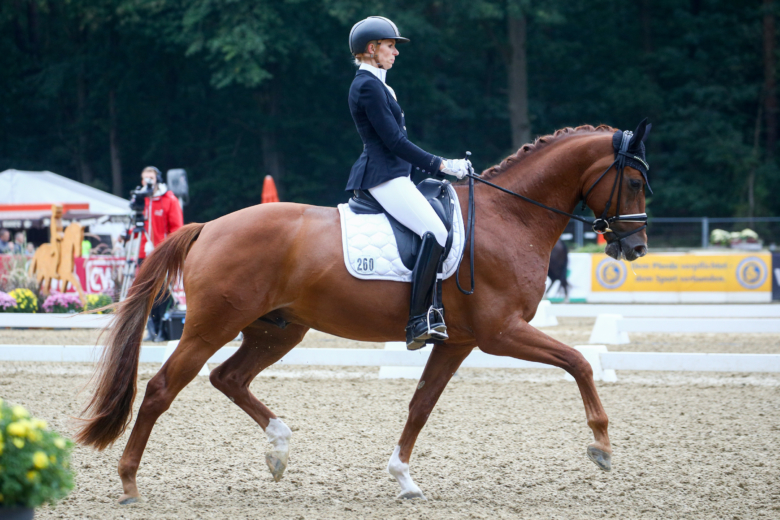 Svenskfödd hingst tog brons i Bundeschampionatet