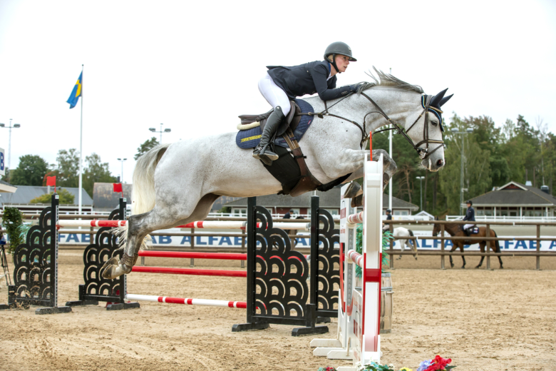 Strömsholm i en elitserieklass för sig