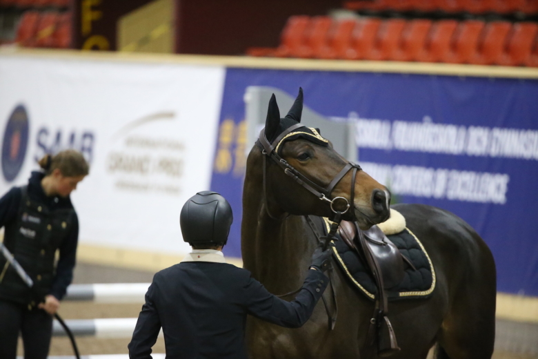 Swedish Select Horse Sales har släppt höstens hopptalanger