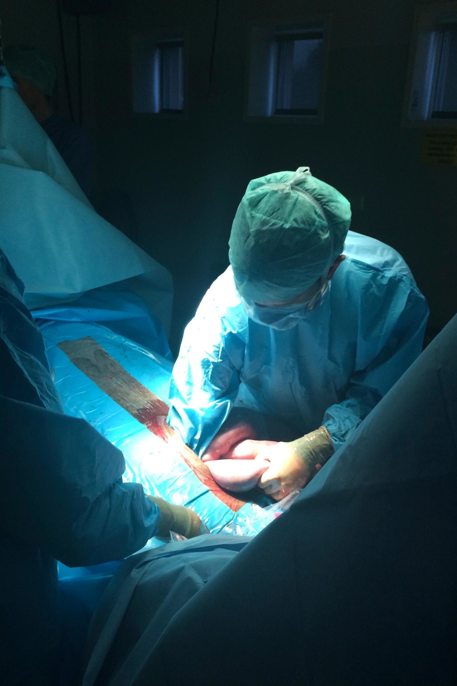 Buköppning inget hinder för hopphästens karriär