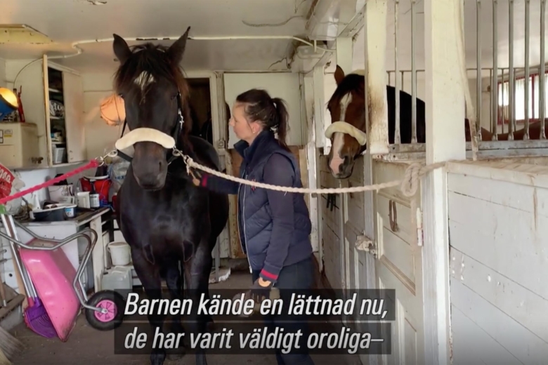 Stympade ponnyn: ”Viktigt att oklara fall obduceras”