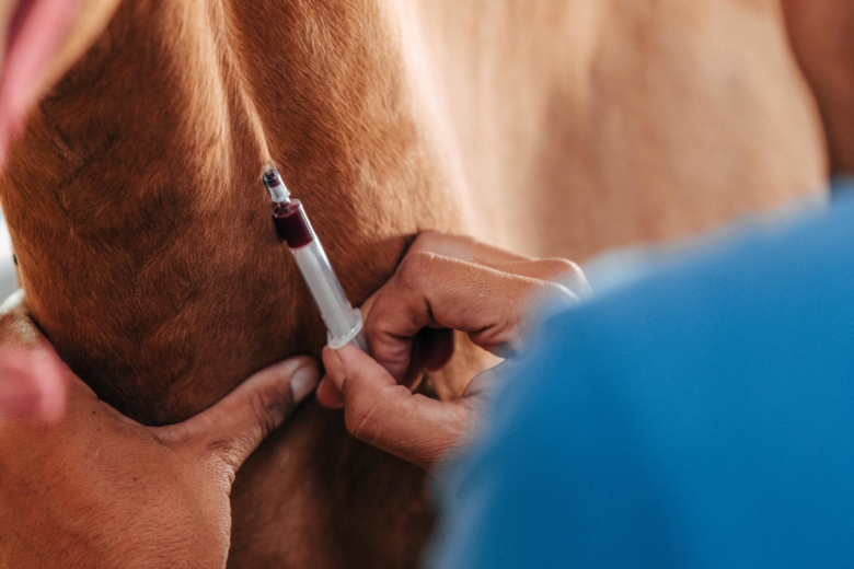 Medicin och vallmo bakom dopningsfall