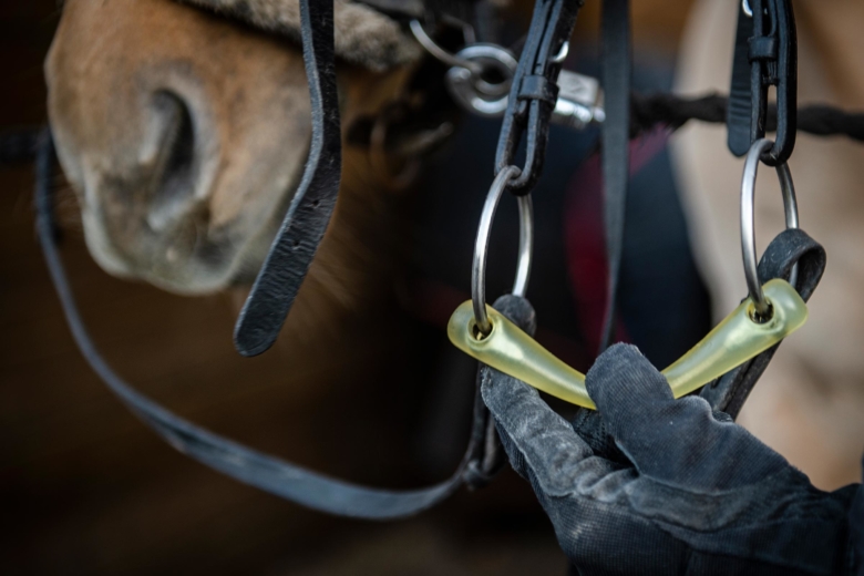 Allt fler väljer bett i nya material