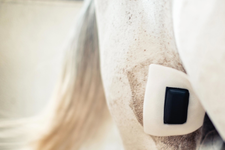 Innovativt sårskydd vinner pris