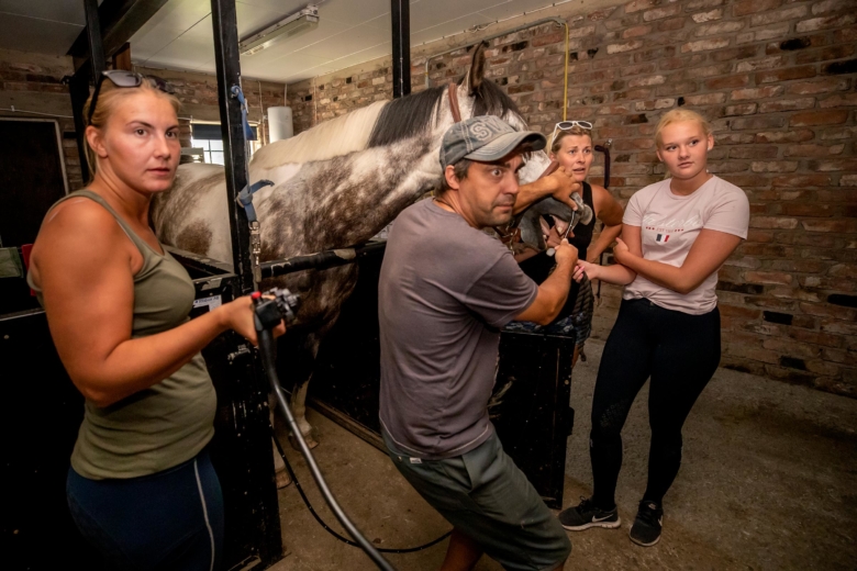 Struppipning steg 1: Veterinär