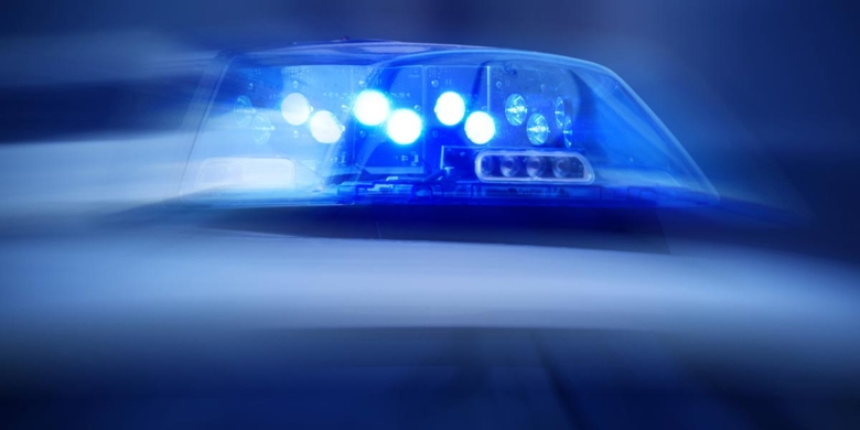 Elva hästar döda i lastbilsolycka