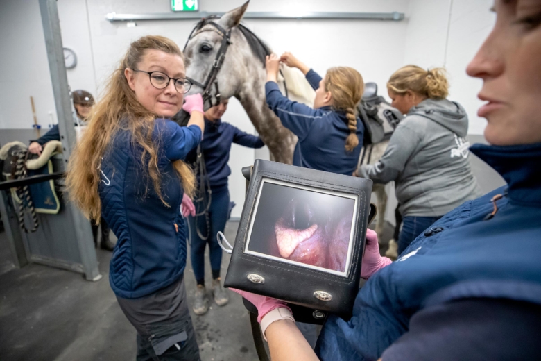 Struppipning steg 2: Ridprovet