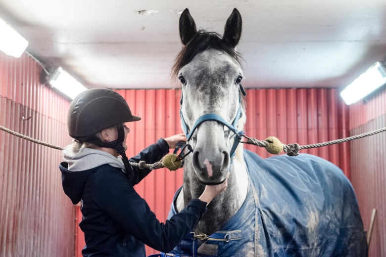 Struppipning steg 4: Hemkomst