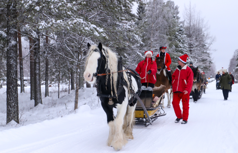 Hästar och slädar spred julstämning