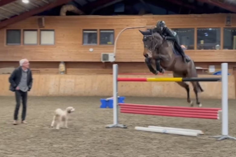 Kolla klippet: Malin Baryard på en sprallig Chacco Dia