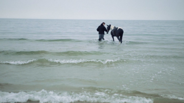 Hästfilmen ”A Legacy of Horses” vann guldbagge
