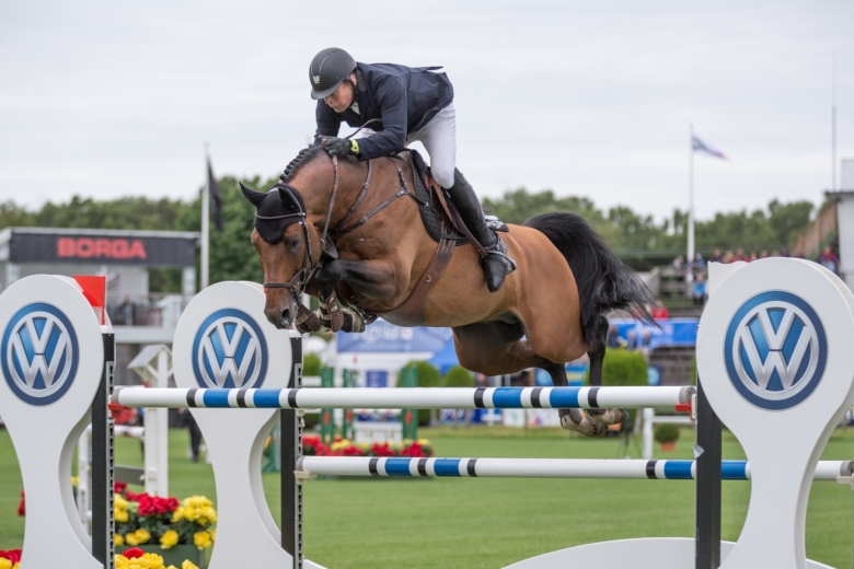 Lövstahingst såld till Belgien