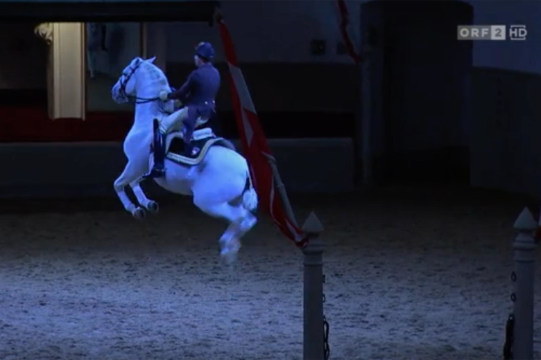 Kolla klippet: ”De vita hingstarnas balett”