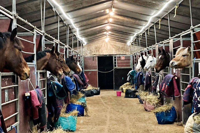 ”Vi har haft problem med kylan”