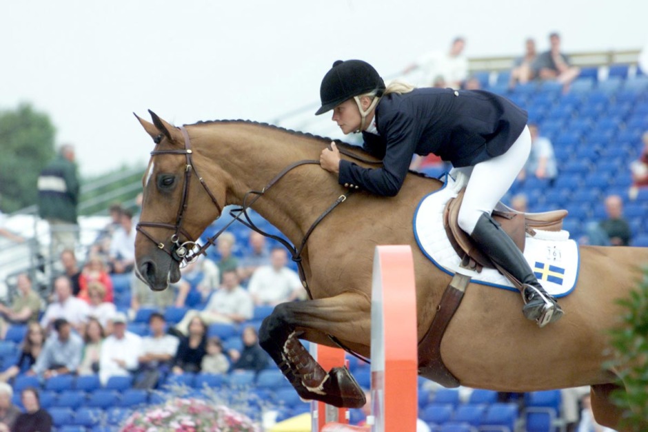 Butterfly Flip D d Stoet Som Skrev Ridsporthistoria Ridsport