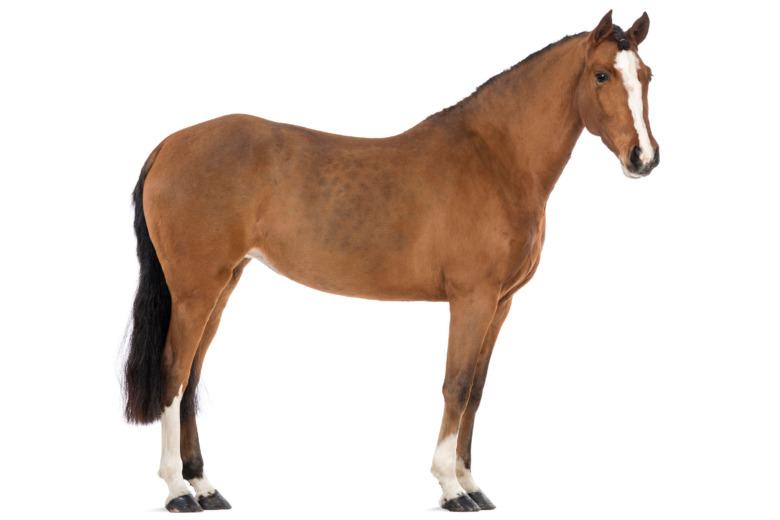 Guide: Den viktiga visiteringen