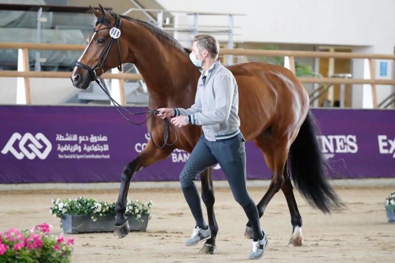 Patrik Kittel: ”Welly har ätit foder som kan ha varit kontaminerat”