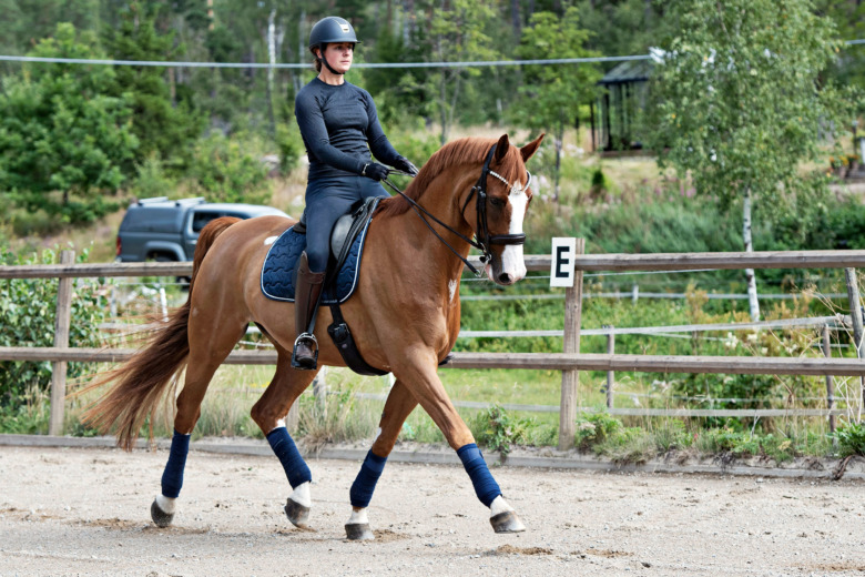 Så tränar du hästen hållbar