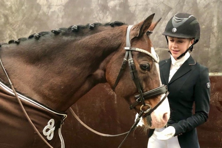 Många vill tävla dressyr online