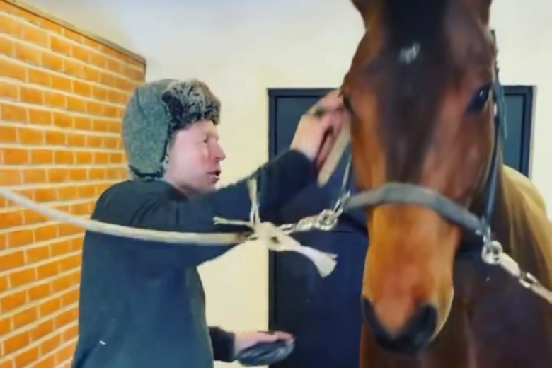 Kolla klippet: Jens Fredricson nattar hästarna med ”en ordentlig rykt”