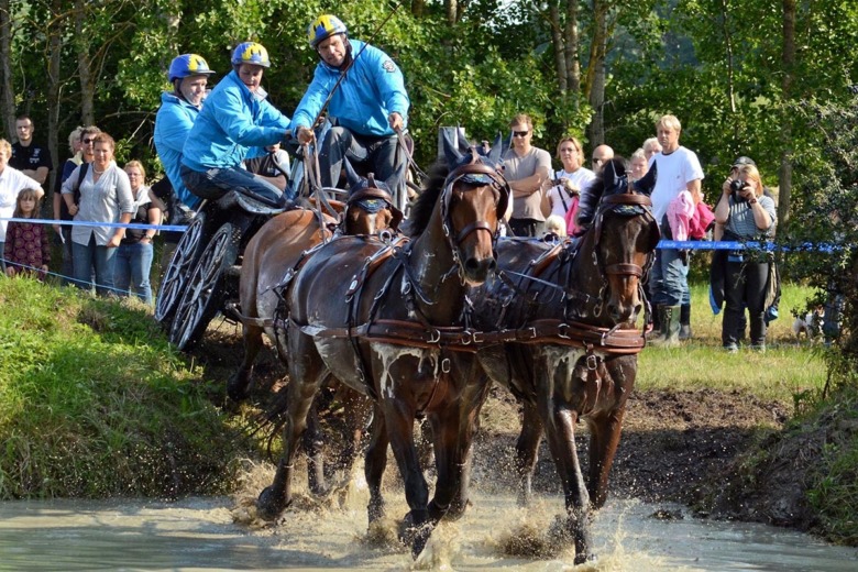 Mästerlig tv-utmaning för Tomas Eriksson