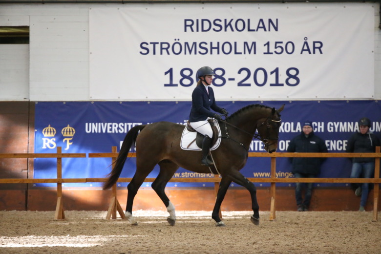 Bruksprovet: Gångartsvisning för 3-åringarna