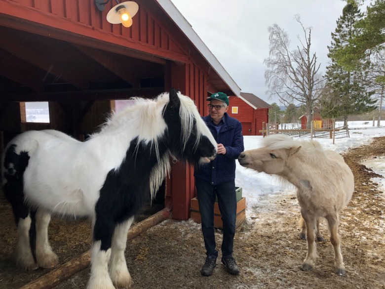 Inget gensvar från regeringen om hästföretagares villkor