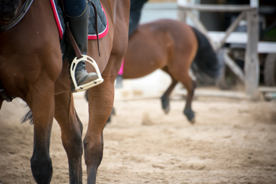 Lärare på riksanläggning döms för otillåten hantering av häst