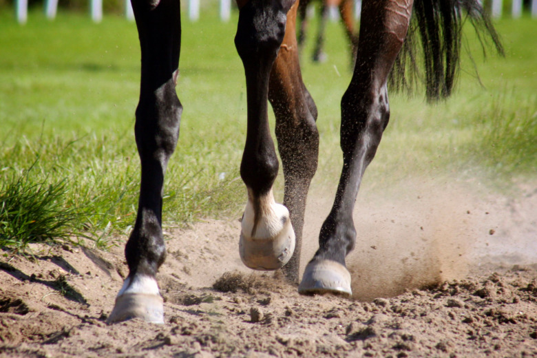 Appen som indikerar hälta