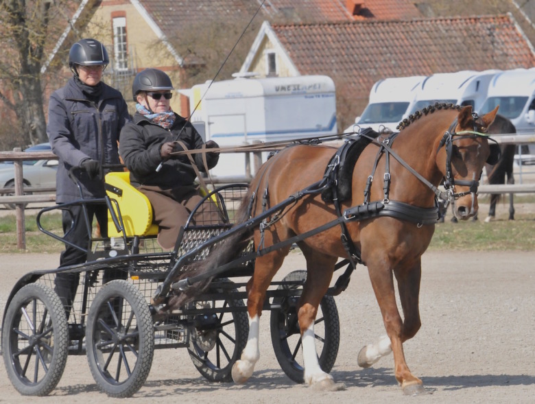 Han är kuskens framtidslöfte: ”Tänker ha mycket roligt”