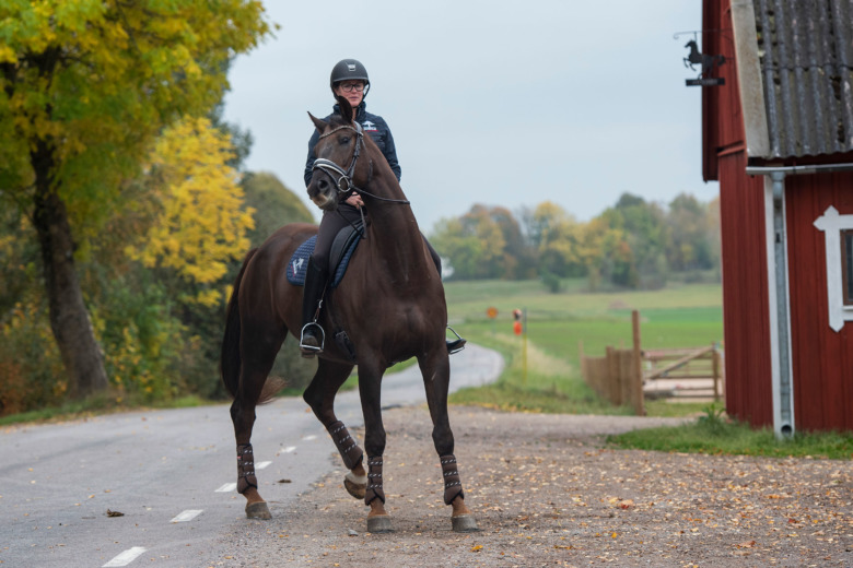 Ge trygghet till hemkär häst