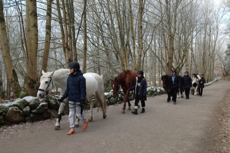 ”Det är ett tillfälle att bygga en annan relation med hästarna”