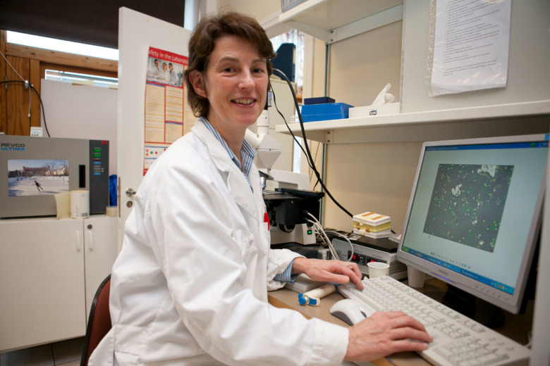 Så fungerar ICSI  – en spermie väljs ut