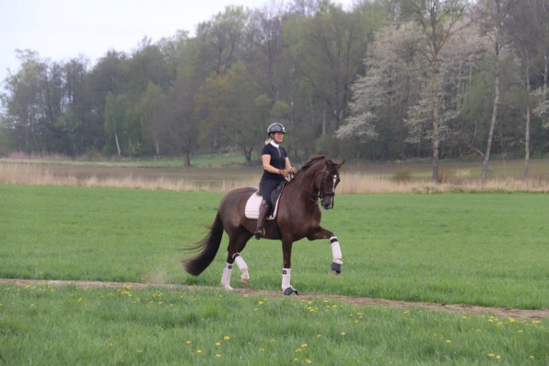 Dressage Power öppnar för anmälan till GP-touren