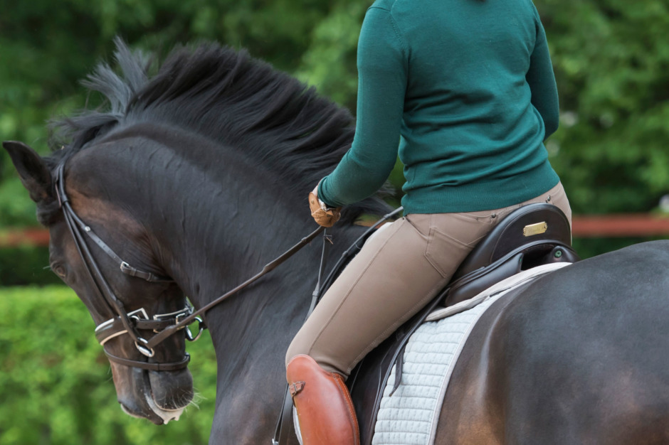 Forskningsnyheter: Rörligt bäcken bra för samarbete med hästen