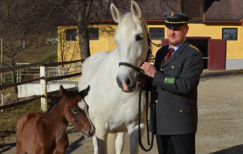 Kolla klippet: Spanska Ridskolans unghingstar släpps på bete