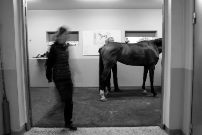 Stor press på veterinärer ökar psykisk ohälsa